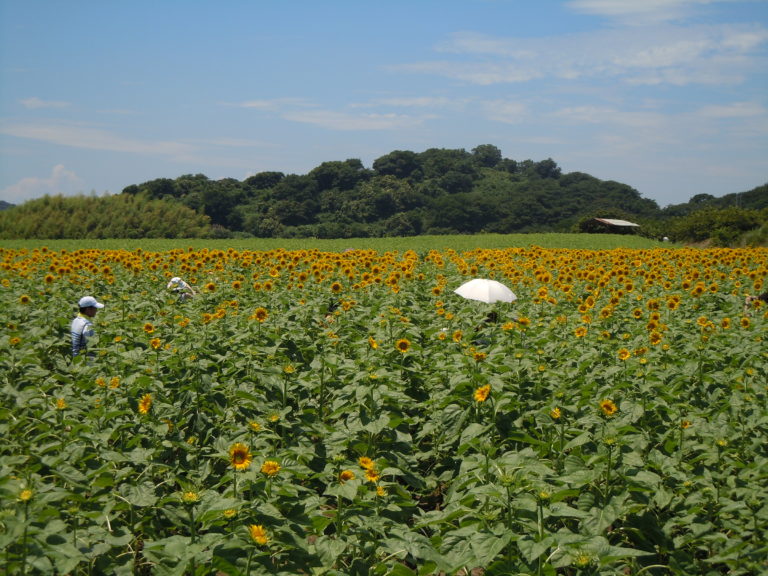 アイキャッチ画像