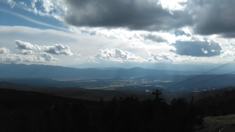 アイキャッチ画像