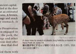 えいご工房の記事の画像その１