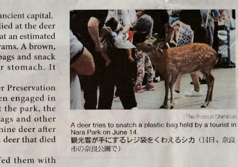 えいご工房の記事の画像その１